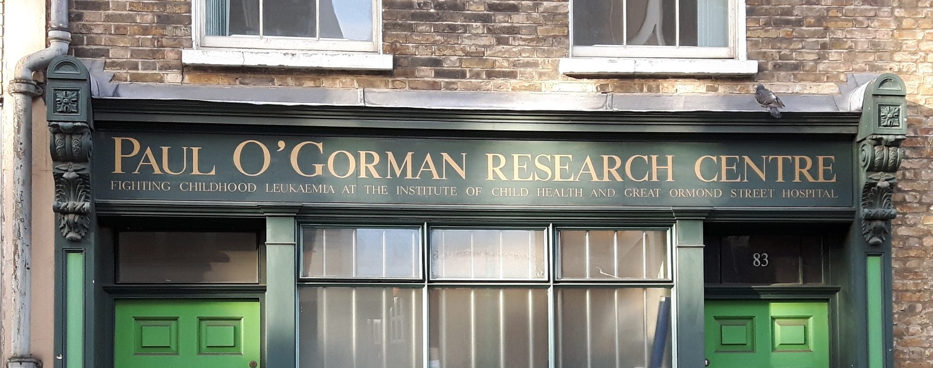 Paul O’Gorman Childhood Leukaemia Research Centre, Great Ormond Street Hospital, London (4).jpg
